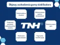Objawy uszkodzenia gumy stabilizatora: stukanie, nierówne zużycie opon, pogorszenie komfortu jazdy.