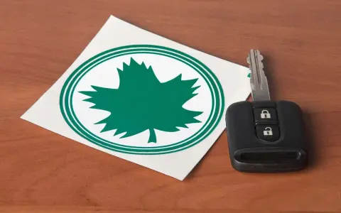 Zielony listek na samochodzie, symbol natury, obok kluczyka do auta.