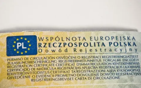 Fragment dowodu rejestracyjnego z oznaczeniem PL i tekstem w wielu językach, w tym "Dowód Rejestracyjny".